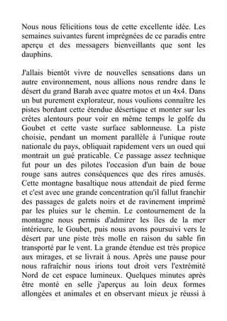Nous nous félicitions tous de cette excellente idée. Les
semaines suivantes furent imprégnées de ce paradis entre
aperçu et des messagers bienveillants que sont les
dauphins.

J'allais bientôt vivre de nouvelles sensations dans un
autre environnement, nous allions nous rendre dans le
désert du grand Barah avec quatre motos et un 4x4. Dans
un but purement explorateur, nous voulions connaître les
pistes bordant cette étendue désertique et monter sur les
crêtes alentours pour voir en même temps le golfe du
Goubet et cette vaste surface sablonneuse. La piste
choisie, pendant un moment parallèle à l'unique route
nationale du pays, obliquait rapidement vers un oued qui
montrait un gué praticable. Ce passage assez technique
fut pour un des pilotes l'occasion d'un bain de boue
rouge sans autres conséquences que des rires amusés.
Cette montagne basaltique nous attendait de pied ferme
et c'est avec une grande concentration qu'il fallut franchir
des passages de galets noirs et de ravinement imprimé
par les pluies sur le chemin. Le contournement de la
montagne nous permis d'admirer les îles de la mer
intérieure, le Goubet, puis nous avons poursuivi vers le
désert par une piste très molle en raison du sable fin
transporté par le vent. La grande étendue est très propice
aux mirages, et se livrait à nous. Après une pause pour
nous rafraîchir nous irions tout droit vers l'extrémité
Nord de cet espace lumineux. Quelques minutes après
être monté en selle j'aperçus au loin deux formes
allongées et animales et en observant mieux je réussi à
 