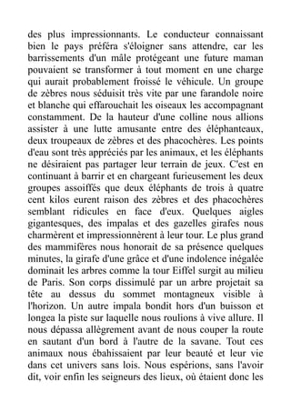 des plus impressionnants. Le conducteur connaissant
bien le pays préféra s'éloigner sans attendre, car les
barrissements d'un mâle protégeant une future maman
pouvaient se transformer à tout moment en une charge
qui aurait probablement froissé le véhicule. Un groupe
de zèbres nous séduisit très vite par une farandole noire
et blanche qui effarouchait les oiseaux les accompagnant
constamment. De la hauteur d'une colline nous allions
assister à une lutte amusante entre des éléphanteaux,
deux troupeaux de zèbres et des phacochères. Les points
d'eau sont très appréciés par les animaux, et les éléphants
ne désiraient pas partager leur terrain de jeux. C'est en
continuant à barrir et en chargeant furieusement les deux
groupes assoiffés que deux éléphants de trois à quatre
cent kilos eurent raison des zèbres et des phacochères
semblant ridicules en face d'eux. Quelques aigles
gigantesques, des impalas et des gazelles girafes nous
charmèrent et impressionnèrent à leur tour. Le plus grand
des mammifères nous honorait de sa présence quelques
minutes, la girafe d'une grâce et d'une indolence inégalée
dominait les arbres comme la tour Eiffel surgit au milieu
de Paris. Son corps dissimulé par un arbre projetait sa
tête au dessus du sommet montagneux visible à
l'horizon. Un autre impala bondit hors d'un buisson et
longea la piste sur laquelle nous roulions à vive allure. Il
nous dépassa allègrement avant de nous couper la route
en sautant d'un bord à l'autre de la savane. Tout ces
animaux nous ébahissaient par leur beauté et leur vie
dans cet univers sans lois. Nous espérions, sans l'avoir
dit, voir enfin les seigneurs des lieux, où étaient donc les
 