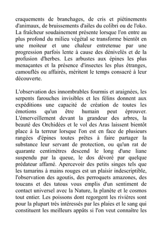 craquements de branchages, de cris et piétinements
d'animaux, de bruissements d'ailes du colibri ou de l'oko.
La fraîcheur soudainement présente lorsque l'on entre au
plus profond du milieu végétal se transforme bientôt en
une moiteur et une chaleur entretenue par une
progression parfois lente à cause des dénivelés et de la
profusion d'herbes. Les arbustes aux épines les plus
menaçantes et la présence d'insectes les plus étranges,
camouflés ou affairés, méritent le temps consacré à leur
découverte.

L'observation des innombrables fourmis et araignées, les
serpents farouches invisibles et les félins donnent aux
expéditions une capacité de création de toutes les
émotions qu'un être humain peut éprouver.
L'émerveillement devant la grandeur des arbres, la
beauté des Orchidées et le vol des Aras laissent bientôt
place à la terreur lorsque l'on est en face de plusieurs
rangées d'épines toutes prêtes à faire partager la
substance leur servant de protection, ou qu'un rat de
quarante centimètres descend le long d'une liane
suspendu par la queue, le dos dévoré par quelque
prédateur affamé. Apercevoir des petits singes tels que
les tamarins à mains rouges est un plaisir indescriptible,
l'observation des agoutis, des perroquets amazones, des
toucans et des tatous vous emplis d'un sentiment de
contact universel avec la Nature, la planète et le cosmos
tout entier. Les poissons dont regorgent les rivières sont
pour la plupart très intéressés par les plaies et le sang qui
constituent les meilleurs appâts si l'on veut connaître les
 