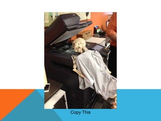 Copy This

 