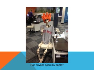 Has anyone seen my pants?

 