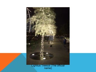 Lightius Treeius (The official
name)

 