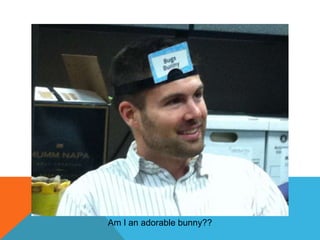 Am I an adorable bunny??

 