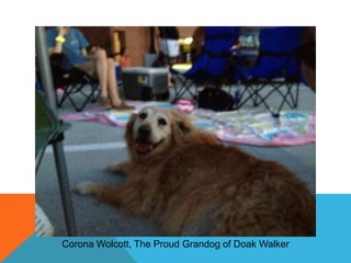 Corona Wolcott, The Proud Grandog of Doak Walker

 