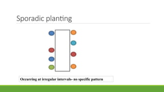 Sporadic planting
Occurring at irregular intervals- no specific pattern
 