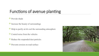 Functions of avenue planting
 Provide shade
 Increase the beauty of surroundings
 Help to purify air & cool the surrounding atmosphere
 Control noise from the vehicles
 Reduce the suspended dust particles
 Prevents erosion on road surface
 