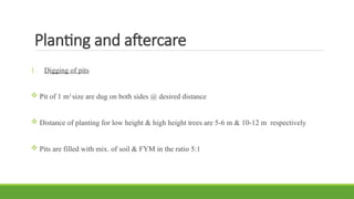 Planting and aftercare
1. Digging of pits
 Pit of 1 m3
size are dug on both sides @ desired distance
 Distance of planting for low height & high height trees are 5-6 m & 10-12 m respectively
 Pits are filled with mix. of soil & FYM in the ratio 5:1
 