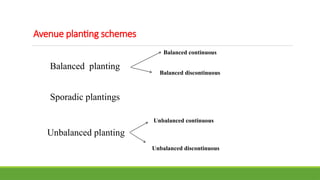 Avenue planting schemes
Balanced planting
Unbalanced planting
Sporadic plantings
Balanced continuous
Balanced discontinuous
Unbalanced continuous
Unbalanced discontinuous
 