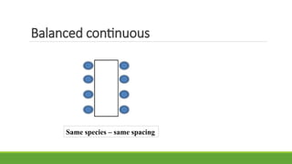 Balanced continuous
Same species – same spacing
 