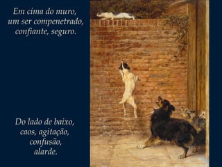 Em cima do muro,
um ser compenetrado,
confiante, seguro.

Do lado de baixo,
caos, agitação,
confusão,
alarde.

 