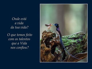 Onde está
a vida
da tua vida?
O que temos feito
com os talentos
que a Vida
nos confiou?

 