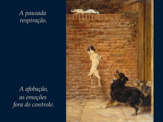 A pausada
respiração.

A afobação,
as emoções
fora do controle.

 