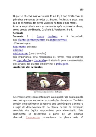 130
O que se observa nos Versículos 11 ao 13, é que DEUS criou as
primeiras sementes de todas as árvores frutíferas e ervas, que
são os alimentos dos seres viventes na terra e nos mares.
A terra só produziu com as sementes após a primeira chuva,
como consta de Gênesis, Capítulo 2, Versículos 5 e 6.
Semente
Semente é o óvulo maduro e já fecundado
das plantas gimnospermas ou angiospermas.
. É formada por:
tegumento ou casca
embrião
endosperma (que o envolve)
Sua importância está relacionada às formas mais primitivas
de reprodução e dispersão e é atestada pelo sucesso destes
dois grupos das plantas em dominar a paisagem.
Anatomia das sementes
Germinação de sementes de feijão.
A semente amassada contém um suco a partir do qual a planta
crescerá quando encontrar as condições desejadas. Também
contém um suprimento de reserva que servirão para o primeiro
estágio de desenvolvimento da planta, depois da formação
completa dos órgãos responsáveis pela alimentação. Este
suprimento se desenvolve a partir de um embrião
chamado fixosperma, proveniente da planta mãe. O
 