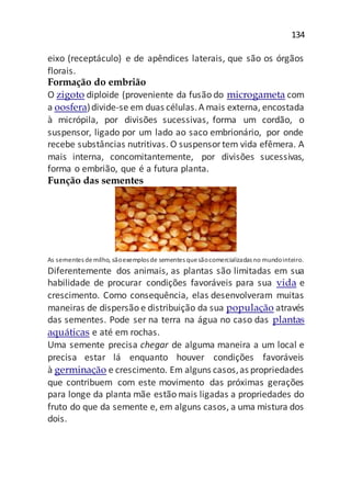 134
eixo (receptáculo) e de apêndices laterais, que são os órgãos
florais.
Formação do embrião
O zigoto diploide (proveniente da fusão do microgameta com
a oosfera)divide-se em duas células.A mais externa, encostada
à micrópila, por divisões sucessivas, forma um cordão, o
suspensor, ligado por um lado ao saco embrionário, por onde
recebe substâncias nutritivas. O suspensortem vida efêmera. A
mais interna, concomitantemente, por divisões sucessivas,
forma o embrião, que é a futura planta.
Função das sementes
As sementes demilho, sãoexemplos de sementes quesãocomercializadas no mundointeiro.
Diferentemente dos animais, as plantas são limitadas em sua
habilidade de procurar condições favoráveis para sua vida e
crescimento. Como consequência, elas desenvolveram muitas
maneiras de dispersão e distribuição da sua população através
das sementes. Pode ser na terra na água no caso das plantas
aquáticas e até em rochas.
Uma semente precisa chegar de alguma maneira a um local e
precisa estar lá enquanto houver condições favoráveis
à germinação e crescimento. Em alguns casos,as propriedades
que contribuem com este movimento das próximas gerações
para longe da planta mãe estão mais ligadas a propriedades do
fruto do que da semente e, em alguns casos, a uma mistura dos
dois.
 