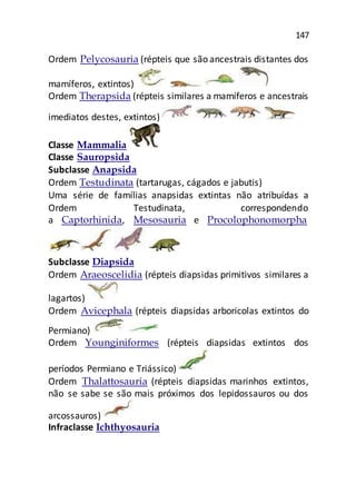 147
Ordem Pelycosauria (répteis que são ancestrais distantes dos
mamíferos, extintos)
Ordem Therapsida (répteis similares a mamíferos e ancestrais
imediatos destes, extintos)
Classe Mammalia
Classe Sauropsida
Subclasse Anapsida
Ordem Testudinata (tartarugas, cágados e jabutis)
Uma série de famílias anapsidas extintas não atribuídas a
Ordem Testudinata, correspondendo
a Captorhinida, Mesosauria e Procolophonomorpha
Subclasse Diapsida
Ordem Araeoscelidia (répteis diapsidas primitivos similares a
lagartos)
Ordem Avicephala (répteis diapsidas arboricolas extintos do
Permiano)
Ordem Younginiformes (répteis diapsidas extintos dos
períodos Permiano e Triássico)
Ordem Thalattosauria (répteis diapsidas marinhos extintos,
não se sabe se são mais próximos dos lepidossauros ou dos
arcossauros)
Infraclasse Ichthyosauria
 