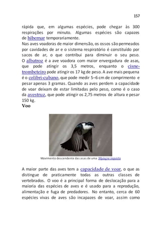 157
rápida que, em algumas espécies, pode chegar às 300
respirações por minuto. Algumas espécies são capazes
de hibernar temporariamente.
Nas aves voadoras de maior dimensão, os ossos são permeados
por cavidades de ar e o sistema respiratório é constituído por
sacos de ar, o que contribui para diminuir o seu peso.
O albatroz é a ave voadora com maior envergadura de asas,
que pode atingir os 3,5 metros, enquanto o cisne-
trombeteiro pode atingiros 17 kg de peso. A ave mais pequena
é o colibri-cubano, que pode medir 5–6 cm de comprimento e
pesar apenas 3 gramas. Quando as aves perdem a capacidade
de voar deixam de estar limitadas pelo peso, como é o caso
da avestruz, que pode atingir os 2,75 metros de altura e pesar
150 kg.
Voo
Movimento descendente das asas de uma Myiagra inquieta
A maior parte das aves tem a capacidade de voar, o que as
distingue de praticamente todas as outras classes de
vertebrados. O voo é a principal forma de deslocação para a
maioria das espécies de aves e é usado para a reprodução,
alimentação e fuga de predadores. No entanto, cerca de 60
espécies vivas de aves são incapazes de voar, assim como
 