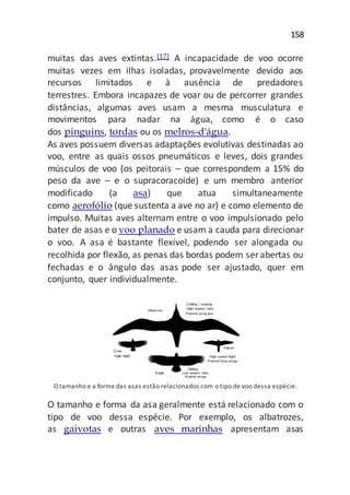 158
muitas das aves extintas.[17] A incapacidade de voo ocorre
muitas vezes em ilhas isoladas, provavelmente devido aos
recursos limitados e à ausência de predadores
terrestres. Embora incapazes de voar ou de percorrer grandes
distâncias, algumas aves usam a mesma musculatura e
movimentos para nadar na água, como é o caso
dos pinguins, tordas ou os melros-d'água.
As aves possuem diversas adaptações evolutivas destinadas ao
voo, entre as quais ossos pneumáticos e leves, dois grandes
músculos de voo (os peitorais – que correspondem a 15% do
peso da ave – e o supracoracoide) e um membro anterior
modificado (a asa) que atua simultaneamente
como aerofólio (que sustenta a ave no ar) e como elemento de
impulso. Muitas aves alternam entre o voo impulsionado pelo
bater de asas e o voo planado e usam a cauda para direcionar
o voo. A asa é bastante flexível, podendo ser alongada ou
recolhida por flexão, as penas das bordas podem ser abertas ou
fechadas e o ângulo das asas pode ser ajustado, quer em
conjunto, quer individualmente.
O tamanho e a forma das asas estão relacionados com o tipo de voo dessa espécie.
O tamanho e forma da asa geralmente está relacionado com o
tipo de voo dessa espécie. Por exemplo, os albatrozes,
as gaivotas e outras aves marinhas apresentam asas
 
