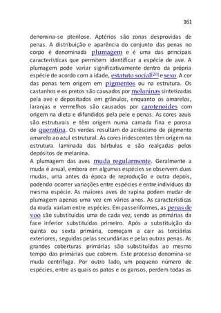 161
denomina-se pterilose. Aptérios são zonas desprovidas de
penas. A distribuição e aparência do conjunto das penas no
corpo é denominada plumagem e é uma das principais
características que permitem identificar a espécie de ave. A
plumagem pode variar significativamente dentro da própria
espécie de acordo com a idade, estatuto social[20] esexo.A cor
das penas tem origem em pigmentos ou na estrutura. Os
castanhos e os pretos são causados por melaninas sintetizadas
pela ave e depositados em grânulos, enquanto os amarelos,
laranjas e vermelhos são causados por carotenoides com
origem na dieta e difundidos pela pele e penas. As cores azuis
são estruturais e têm origem numa camada fina e porosa
de queratina. Os verdes resultam do acréscimo de pigmento
amarelo ao azul estrutural. As cores iridescentes têm origem na
estrutura laminada das bárbulas e são realçadas pelos
depósitos de melanina.
A plumagem das aves muda regularmente. Geralmente a
muda é anual, embora em algumas espécies se observem duas
mudas, uma antes da época de reprodução e outra depois,
podendo ocorrer variações entre espécies e entre indivíduos da
mesma espécie. As maiores aves de rapina podem mudar de
plumagem apenas uma vez em vários anos. As características
da muda variamentre espécies.Empasseriformes, as penas de
voo são substituídas uma de cada vez, sendo as primárias da
face inferior substituídas primeiro. Após a substituição da
quinta ou sexta primária, começam a cair as terciárias
exteriores, seguidas pelas secundárias e pelas outras penas. As
grandes coberturas primárias são substituídas ao mesmo
tempo das primárias que cobrem. Este processo denomina-se
muda centrífuga. Por outro lado, um pequeno número de
espécies, entre as quais os patos e os gansos, perdem todas as
 