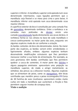 163
superior e inferior. A mandíbula superior estáapoiadanum osso
denominado intermaxilar, cujas ligações permitem que a
mandíbula seja flexível e se mova para cima e para baixo. A
mandíbula inferior está apoiada num osso denominado osso
maxilar inferior.
A superfície exterior do bico é constituída por uma camada fina
de queratina, denominada ranfoteca. Entre a ranfoteca e as
camadas mais profundas da derme existe uma
camada vascularizada ligada diretamente aos ossos do bico. A
ranfoteca forma-se nas células na base de cada mandíbula e
cresce continuamente na maior parte das aves, enquanto em
algumas espécies muda de cor conforme a estação.
As bordas cortantes do bico são denominadas tomia. Na maior
parte das espécies, as bordas variam entre arredondadas e
ligeiramente afiadas, embora algumas espécies tenham
desenvolvido modificações estruturais que lhes permitem
manusear melhor a sua fonte de alimentação. Por exemplo, as
aves granívoras têm bordas serrilhadas que lhes permitem
quebrar a casca de sementes. A maior parte dos falcões e
alguns papagaios omnívoros apresentam uma projeção na
mandíbula superior, de modo a atingir mortalmente as
vértebras das presas ou a dilacerar insetos. Algumas espécies
que se alimentam de peixe, como os mergansos, têm bicos
serrilhados que mantêm preso o peixe escorregadio.[36] Cerca
de 30 famílias de aves insetívoras apresentam cerdas muito
curtas em toda a mandíbula que aumentam a fricção e lhes
permitem segurar insetos de carapaça dura.
Visão e audição
 