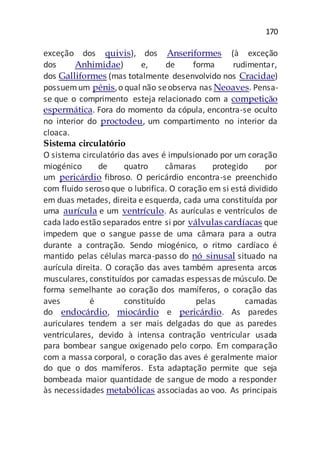 170
exceção dos quivis), dos Anseriformes (à exceção
dos Anhimidae) e, de forma rudimentar,
dos Galliformes (mas totalmente desenvolvido nos Cracidae)
possuemum pénis,o qual não seobserva nas Neoaves. Pensa-
se que o comprimento esteja relacionado com a competição
espermática. Fora do momento da cópula, encontra-se oculto
no interior do proctodeu, um compartimento no interior da
cloaca.
Sistema circulatório
O sistema circulatório das aves é impulsionado por um coração
miogénico de quatro câmaras protegido por
um pericárdio fibroso. O pericárdio encontra-se preenchido
com fluido seroso que o lubrifica. O coração em si está dividido
em duas metades, direita e esquerda, cada uma constituída por
uma aurícula e um ventrículo. As aurículas e ventrículos de
cada lado estão separados entre si por válvulas cardíacas que
impedem que o sangue passe de uma câmara para a outra
durante a contração. Sendo miogénico, o ritmo cardíaco é
mantido pelas células marca-passo do nó sinusal situado na
aurícula direita. O coração das aves também apresenta arcos
musculares, constituídos por camadas espessas de músculo. De
forma semelhante ao coração dos mamíferos, o coração das
aves é constituído pelas camadas
do endocárdio, miocárdio e pericárdio. As paredes
auriculares tendem a ser mais delgadas do que as paredes
ventriculares, devido à intensa contração ventricular usada
para bombear sangue oxigenado pelo corpo. Em comparação
com a massa corporal, o coração das aves é geralmente maior
do que o dos mamíferos. Esta adaptação permite que seja
bombeada maior quantidade de sangue de modo a responder
às necessidades metabólicas associadas ao voo. As principais
 