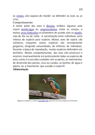 173
os cisnes, são capazes de morder ao defender os ovos ou as
crias.
Comportamento
A maior parte das aves é diurna, embora algumas aves
sejam noctívagas ou crepusculares, como as corujas, e
muitas aves limícolas se alimentem de acordo com as marés,
seja de dia ou de noite. A socialização entre indivíduos varia
imenso de espécie para espécie. Muitas aves de rapina são
solitárias, enquanto outras espécies são vincadamente
gregárias, atingindo comunidades de milhares de indivíduos.
Durante a época de reprodução, muitas espécies defendem um
território. Muitos comportamentos das aves são universais e
ocorrem invariavelmente em praticamente todas as espécies de
aves,como é o casodos cuidados com as penas, os movimentos
de distensão das pernas, asas ou caudas, os banhos de água e
poeira, ou o movimento que sacode o corpo.[6]
Alimentação
Algumas espécies, como o guarda-rios, pescam os seus próprios alimentos.
 