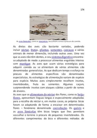 174
As aves limícolas, como os maçaricos, vasculham a areia à procura de comida.
As dietas das aves são bastante variadas, podendo
incluir néctar, frutas, plantas, sementes, carcaças e vários
animais de menor dimensão, incluindo outras aves. Uma vez
que as aves não têm dentes, o seu sistemadigestivo encontra-
se adaptado de modo a processar alimentos engolidos inteiros
sem mastigar. As aves que usam várias estratégias para
adquirir comida ou se alimentam de vários alimentos são
denominadas generalistas. As que dedicam tempo e esforço na
procura de alimentos específicos são denominadas
especialistas. As estratégias de alimentação variam de espécie
para espécie. Muitas aves simplesmente recolhem insetos,
invertebrados, fruta ou sementes. Algumas caçam,
surpreendendo insetos com ataques súbitos a partir de ramos
de árvores.
As aves que se alimentam do néctar das flores, como os beija-
flores, apresentam línguas longas e especialmente adaptadas
para a recolha do néctar e, em muitos casos, os próprios bicos
foram se adaptando de forma a encaixar em determinadas
flores – fenómeno denominado coevolução. Os quivís e
as aves limícolas têm bicos longos que lhes permitem
vasculhar o terreno à procura de pequenos invertebrados. Os
diferentes comprimentos do bico e diferentes métodos de
 