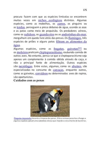 175
procura fazem com que as espécies limícolas se encontrem
muitas vezes em nichos ecológicos distintos. Algumas
espécies, como as mobelhas, os zarros, os pinguins ou
as tordas, perseguem a presa debaixo de água, usando as asas
e as patas como meio de propulsão. Os predadores aéreos,
como os sulídeos, os guarda-rios ou as andorinhas-do-mar,
mergulham em queda livre atrás das presas.Os flamingos, três
espécies de priões e alguns patos filtram os alimentos da
água.
Algumas espécies, como as fragatas, gaivotas[93] ou
os moleirospraticam cleptoparasitismo,roubando comida de
outras aves. No entanto, pensa-se que o cleptoparasitismo seja
apenas um complemento à comida obtida através da caça, e
não a principal fonte de alimentação. Outras espécies
são necrófagas. Entre estas, algumas, como os abutres, são
especializadas no consumo de carcaças, enquanto outras,
como as gaivotas, corvídeos ou determinadas aves de rapina,
são oportunistas.
Cuidados com as penas
Pinguins-imperador durante a limpeza das penas. O bico remove parasitas e fungos e
algumas espécies aplicamuma substância oleosa que impede o crescimento de bactérias.
 