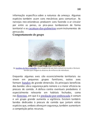 180
informação específica sobre a natureza da ameaça. Algumas
espécies também usam sons mecânicos para comunicar. As
narcejas neo-zelandesas produzem sons fazendo o ar circular
por entre as penas, os pica-paus tamboreiam de forma
territorial e as cacatuas-das-palmeiras usaminstrumentos de
percussão.
Comportamento de grupo
Os tecelões-de-bico-vermelho são a espécie de ave mais comum no mundo e formam
bandos que chegam às dezenas de milhares de indivíduos.
Enquanto algumas aves são essencialmente territoriais ou
vivem em pequenos grupos familiares, outras aves
formam bandos de grande dimensão. Os principais benefícios
dos bandos são a segurança pelo número e a maior eficácia na
procura de comida. A defesa contra eventuais predadores é
especialmente relevante em habitats fechados, como
nas florestas, em que é a predação por emboscada é comum
e um grupo grande aumenta a vigilância. Existem também
bandos dedicados à procura de comida que juntam várias
espécies que, embora ofereçam segurança,também aumentam
a competição pelos recursos.
 