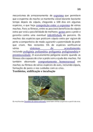 185
mecanismos de armazenamento de esperma que permitem
que o esperma do macho se mantenha viável durante bastante
tempo depois da cópula, chegando a 100 dias em algumas
espécies, e que haja competição entre o esperma de vários
machos. Para as fêmeas,entre os possíveis benefícios da cópula
extra-par está a possibilidade de melhores genes para a prole e
garantia contra uma eventual infertilidade do parceiro. Os
machos das espécies que praticam cópula extra-par vigiam de
perto acompanheira de modo agarantir a paternidade da prole
que criam. Nos restantes 5% de espécies verificam-se
vários sistemas de acasalamento,
incluindo poliginia, poliandria, poligamia, poliginandria e
promiscuidade. O acasalamento polígamo ocorre quando as
fêmeas são capazes de criara prole sema ajuda dos machos. Foi
também observado comportamento homossexual em
machos ou fêmeas de várias espécies de aves, incluindo cópula,
formação de pares e nos cuidados com as crias.
Territórios, nidificação e incubação
Os machos dos Tecelões-de-dorso-dourado constroem ninhos suspensos a partir de erva.
 