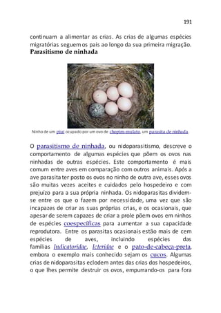 191
continuam a alimentar as crias. As crias de algumas espécies
migratórias seguemos pais ao longo da sua primeira migração.
Parasitismo de ninhada
Ninho de um piuí ocupado por um ovo de chopim-mulato, um parasita de ninhada.
O parasitismo de ninhada, ou nidoparasitismo, descreve o
comportamento de algumas espécies que põem os ovos nas
ninhadas de outras espécies. Este comportamento é mais
comum entre aves em comparação com outros animais. Após a
ave parasitater posto os ovos no ninho de outra ave, esses ovos
são muitas vezes aceites e cuidados pelo hospedeiro e com
prejuízo para a sua própria ninhada. Os nidoparasitas dividem-
se entre os que o fazem por necessidade, uma vez que são
incapazes de criar as suas próprias crias, e os ocasionais, que
apesar de serem capazes de criar a prole põem ovos em ninhos
de espécies coespecíficas para aumentar a sua capacidade
reprodutora. Entre os parasitas ocasionais estão mais de cem
espécies de aves, incluindo espécies das
famílias Indicatoridae, Icteridae e o pato-de-cabeça-preta,
embora o exemplo mais conhecido sejam os cucos. Algumas
crias de nidoparasitas eclodem antes das crias dos hospedeiros,
o que lhes permite destruir os ovos, empurrando-os para fora
 