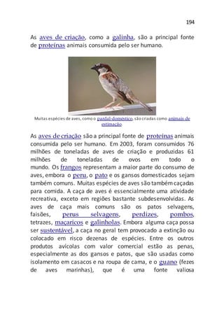194
As aves de criação, como a galinha, são a principal fonte
de proteínas animais consumida pelo ser humano.
Muitas espécies de aves, como o pardal-doméstico, são criadas como animais de
estimação.
As aves de criação são a principal fonte de proteínas animais
consumida pelo ser humano. Em 2003, foram consumidos 76
milhões de toneladas de aves de criação e produzidas 61
milhões de toneladas de ovos em todo o
mundo. Os frangos representam a maior parte do consumo de
aves, embora o peru, o pato e os gansos domesticados sejam
também comuns. Muitas espécies de aves são tambémcaçadas
para comida. A caça de aves é essencialmente uma atividade
recreativa, exceto em regiões bastante subdesenvolvidas. As
aves de caça mais comuns são os patos selvagens,
faisões, perus selvagens, perdizes, pombos,
tetrazes, maçaricos e galinholas. Embora alguma caça possa
ser sustentável, a caça no geral tem provocado a extinção ou
colocado em risco dezenas de espécies. Entre os outros
produtos avícolas com valor comercial estão as penas,
especialmente as dos gansos e patos, que são usadas como
isolamento em casacos e na roupa de cama, e o guano (fezes
de aves marinhas), que é uma fonte valiosa
 