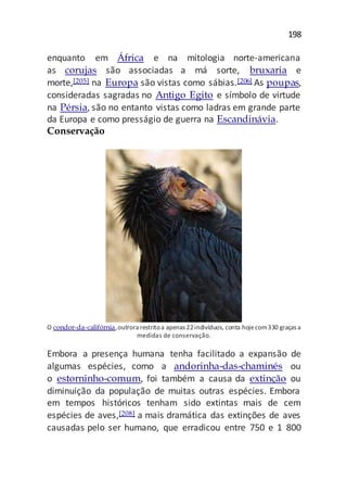 198
enquanto em África e na mitologia norte-americana
as corujas são associadas a má sorte, bruxaria e
morte,[205] na Europa são vistas como sábias.[206] As poupas,
consideradas sagradas no Antigo Egito e símbolo de virtude
na Pérsia, são no entanto vistas como ladras em grande parte
da Europa e como presságio de guerra na Escandinávia.
Conservação
O condor-da-califórnia,outrora restritoa apenas 22indivíduos, conta hojecom330 graças a
medidas de conservação.
Embora a presença humana tenha facilitado a expansão de
algumas espécies, como a andorinha-das-chaminés ou
o estorninho-comum, foi também a causa da extinção ou
diminuição da população de muitas outras espécies. Embora
em tempos históricos tenham sido extintas mais de cem
espécies de aves,[208] a mais dramática das extinções de aves
causadas pelo ser humano, que erradicou entre 750 e 1 800
 