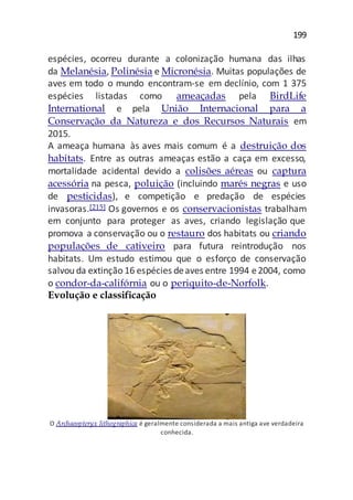 199
espécies, ocorreu durante a colonização humana das ilhas
da Melanésia, Polinésia e Micronésia. Muitas populações de
aves em todo o mundo encontram-se em declínio, com 1 375
espécies listadas como ameaçadas pela BirdLife
International e pela União Internacional para a
Conservação da Natureza e dos Recursos Naturais em
2015.
A ameaça humana às aves mais comum é a destruição dos
habitats. Entre as outras ameaças estão a caça em excesso,
mortalidade acidental devido a colisões aéreas ou captura
acessória na pesca, poluição (incluindo marés negras e uso
de pesticidas), e competição e predação de espécies
invasoras.[215] Os governos e os conservacionistas trabalham
em conjunto para proteger as aves, criando legislação que
promova a conservação ou o restauro dos habitats ou criando
populações de cativeiro para futura reintrodução nos
habitats. Um estudo estimou que o esforço de conservação
salvou da extinção 16 espécies deaves entre 1994 e2004, como
o condor-da-califórnia ou o periquito-de-Norfolk.
Evolução e classificação
O Archaeopteryx lithographica é geralmente considerada a mais antiga ave verdadeira
conhecida.
 