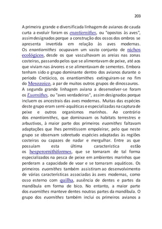 203
A primeira grande e diversificada linhagemde avianos de cauda
curta a evoluir foram os enantiornithes, ou "opostos às aves",
assimdesignados porque a construção dos ossos dos ombros se
apresenta invertida em relação às aves modernas.
Os enantiornithes ocupavam um vasto conjunto de nichos
ecológicos, desde os que vasculhavam as areias nas zonas
costeiras, passando pelos que se alimentavam de peixe, até aos
que viviam nas árvores e se alimentavam de sementes. Embora
tenham sido o grupo dominante dentro dos avianos durante o
período Cretácico, os enantiornithes extinguiram-se no fim
do Mesozoico, a par de muitos outros grupos de dinossauros.
A segunda grande linhagem aviana a desenvolver-se foram
os Euornithes, ou "aves verdadeiras", assim designados porque
incluem os ancestrais das aves modernas. Muitas das espécies
deste grupo eram semi-aquáticas eespecializadas nacapturade
peixe e outros organismos marinhos. Ao contrário
dos enantiornithes, que dominavam os habitats terrestres e
arbustivos, à maior parte dos primeiros euornithes faltavam
adaptações que lhes permitissem empoleirar, pelo que neste
grupo se observam sobretudo espécies adaptadas às regiões
costeiras ou capazes de nadar e mergulhar. Entre as que
possuíam esta última característica estão
os hesperornithiformes, que se tornaram de tal forma
especializados na pesca de peixe em ambientes marinhos que
perderam a capacidade de voar e se tornaram aquáticos. Os
primeiros euornithes também assistiram ao desenvolvimento
de várias características associadas às aves modernas, como
osso esterno com quilha, ausência de dentes e partes da
mandíbula em forma de bico. No entanto, a maior parte
dos euornithes manteve dentes noutras partes da mandíbula. O
grupo dos euornithes também inclui os primeiros avianos a
 