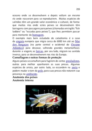 215
oceano onde se desenvolvem e depois voltam ao mesmo
rio onde nasceram para se reproduzirem. Muitas espécies de
salmões têm um grande valor económico e cultural, de forma
que muitos rios onde estes peixes se desenvolvem têm
barragens com passagens parapeixes (chamadas eminglês "fish
ladders" ou "escadas para peixes"), que lhes permitem passar
para montante da barragem.
O exemplo mais bem estudado de catadromia é o caso
da enguia europeia que migra cerca de 6000 km até ao Mar
dos Sargaços (na parte central e ocidental do Oceano
Atlântico) para desovar, sofrendo grandes metamorfoses
durante a viagem; as larvas, por seu lado, migram no sentido
inverso, para se desenvolverem nos rios da Europa.
Camuflagem e outras formas de proteção
Alguns peixes secamuflam para fugirem de certos predadores,
outros para melhor apanharem as suas presas. Algumas
espécies de arraia, por outro lado, se escondem na areia e
podem mudar o tom da pele,para suas presas não notarem sua
presença no ambiente.
Anatomia dos peixes
Anatomia interna
 