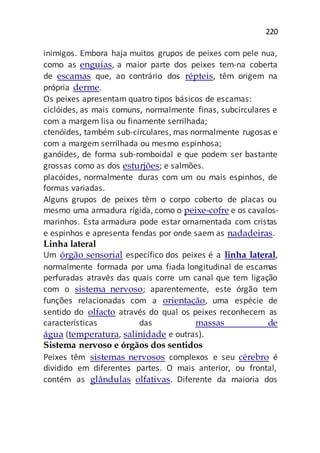 220
inimigos. Embora haja muitos grupos de peixes com pele nua,
como as enguias, a maior parte dos peixes tem-na coberta
de escamas que, ao contrário dos répteis, têm origem na
própria derme.
Os peixes apresentam quatro tipos básicos de escamas:
ciclóides, as mais comuns, normalmente finas, subcirculares e
com a margem lisa ou finamente serrilhada;
ctenóides, também sub-circulares, mas normalmente rugosas e
com a margem serrilhada ou mesmo espinhosa;
ganóides, de forma sub-romboidal e que podem ser bastante
grossas como as dos esturjões; e salmões.
placóides, normalmente duras com um ou mais espinhos, de
formas variadas.
Alguns grupos de peixes têm o corpo coberto de placas ou
mesmo uma armadura rígida, como o peixe-cofre e os cavalos-
marinhos. Esta armadura pode estar ornamentada com cristas
e espinhos e apresenta fendas por onde saem as nadadeiras.
Linha lateral
Um órgão sensorial específico dos peixes é a linha lateral,
normalmente formada por uma fiada longitudinal de escamas
perfuradas através das quais corre um canal que tem ligação
com o sistema nervoso; aparentemente, este órgão tem
funções relacionadas com a orientação, uma espécie de
sentido do olfacto através do qual os peixes reconhecem as
características das massas de
água (temperatura, salinidade e outras).
Sistema nervoso e órgãos dos sentidos
Peixes têm sistemas nervosos complexos e seu cérebro é
dividido em diferentes partes. O mais anterior, ou frontal,
contém as glândulas olfativas. Diferente da maioria dos
 
