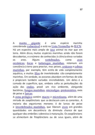 87
A manta gigante é uma espécie marinha
considerada vulnerável e está na Lista Vermelha da IUCN.
Há um espectro mais amplo de taxa animal no mar que em
terra. Além disso, muitas espécies marinhas ainda não foram
descobertas, e o número de conhecidas à ciênciaeleva-setodos
os anos. Alguns vertebrados, como aves
oceânicas, focas e tartarugas marinhas, retornam em
constância à terra para procriar, mas peixes, cetáceos e cobras
marinhas, por exemplo, têm estilo de vida completamente
aquático, e muitos filos de invertebrados são completamente
marinhos. Em verdade, os oceanos abundam emformas de vida
e propiciam também variados microhabitats. Um deles é a
camada de superfície, que, embora sofra as perturbações da
ação das ondas, provê um rico ambiente, abrigando
bactérias, fungos marinhos, microalgas, protozoários, ovos
de peixe e larvas.
A zona pelágica contém macro e microfauna, além de uma
miríade de zooplânctons que se deslocam com as correntes. A
maioria dos organismos menores é de larvas de peixe
e invertebrados marinhos, que liberam ovos em grandes
quantidades em decorrência da diminuta chance de que
qualquer dos embriões sobreviva à maturação. Os zooplânctons
se alimentam de fitoplânctons ou de seus iguais, além de
 