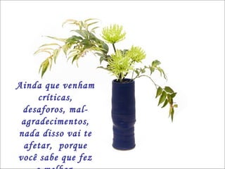 Ainda que venham críticas, desaforos, mal-agradecimentos, nada disso vai te afetar,  porque você sabe que fez o melhor. 