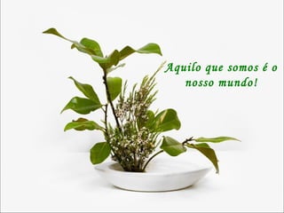 Aquilo que somos é o nosso mundo! 