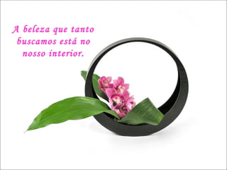 A beleza que tanto buscamos está no nosso interior. A beleza que tanto buscamos está no nosso interior. 