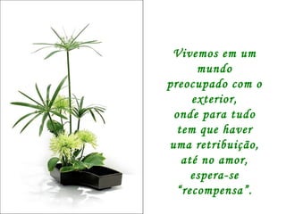 Vivemos em um mundo preocupado com o exterior, onde para tudo tem que haver uma retribuição, até no amor, espera-se “recompensa”. 