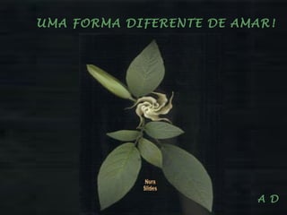 UMA FORMA DIFERENTE DE AMAR! A D Nura Slides 
