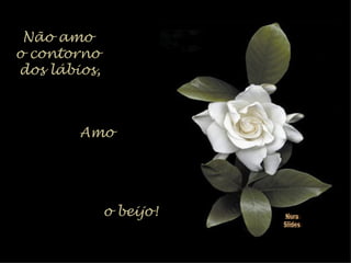 Não amo  o contorno  dos lábios, Amo o beijo! Nura Slides 
