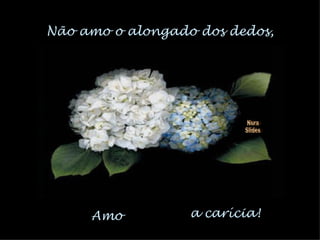 Não amo o alongado dos dedos, Amo a carícia! Nura Slides 