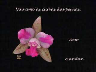 Não amo as curvas das pernas, Amo o andar! Nura Slides 