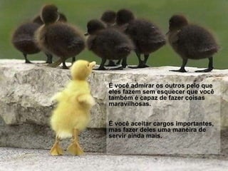 É você admirar os outros pelo que eles fazem sem esquecer que você também é capaz de fazer coisas maravilhosas.  É você aceitar cargos importantes, mas fazer deles uma maneira de servir ainda mais.  