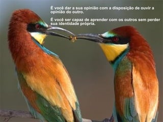 É você dar a sua opinião com a disposição de ouvir a opinião do outro.  É você ser capaz de aprender com os outros sem perder sua identidade própria.  