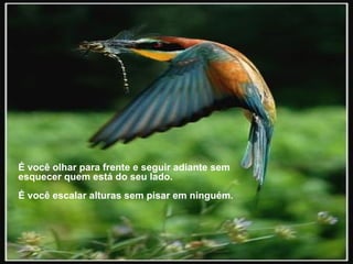 É você olhar para frente e seguir adiante sem esquecer quem está do seu lado.  É você escalar alturas sem pisar em ninguém.  