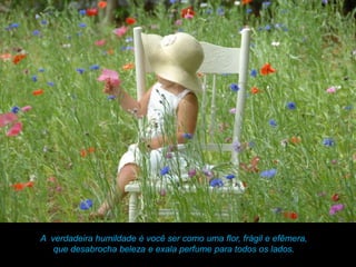 A verdadeira humildade é você ser como uma flor, frágil e efêmera,
   que desabrocha beleza e exala perfume para todos os lados.
 