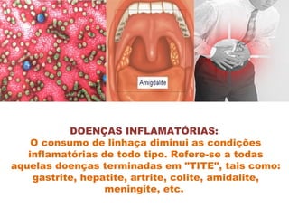 DOENÇAS INFLAMATÓRIAS:  O consumo de linhaça diminui as condições inflamatórias de todo tipo. Refere-se a todas aquelas doenças terminadas em "TITE", tais como: gastrite, hepatite, artrite, colite, amidalite, meningite, etc.  